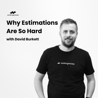 Why Estimations Are So Hard