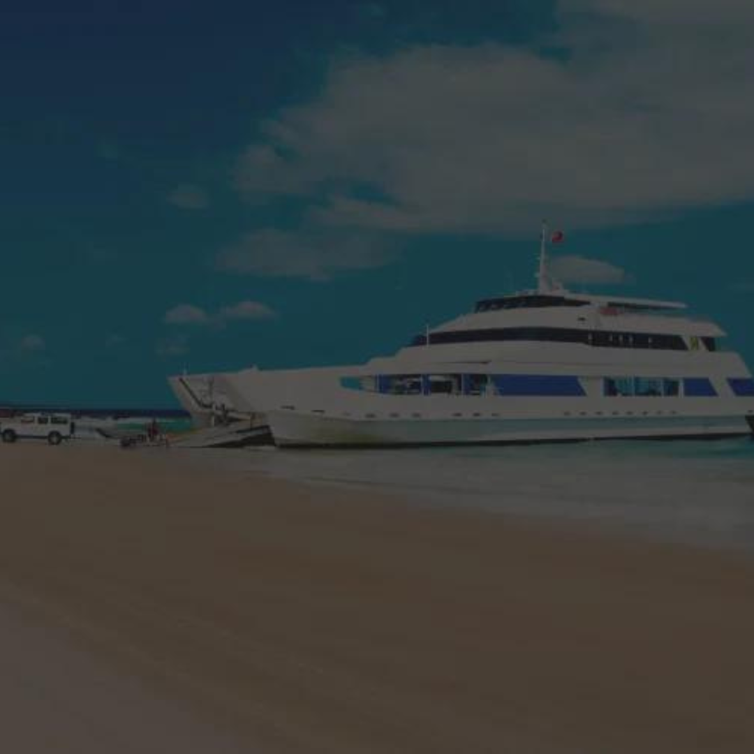 Moreton Island Adventures